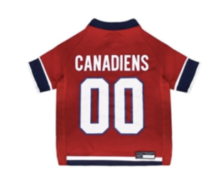 Official NHL Jersey
